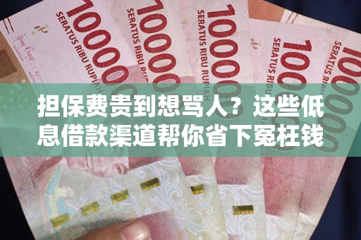 济南担保费贵到想骂人？这些低息借款渠道帮你省下冤枉钱