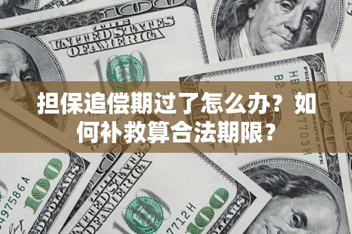 济南担保追偿期过了怎么办？如何补救算合法期限？