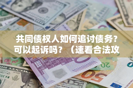 济南共同债权人如何追讨债务？可以起诉吗？（速看合法攻略）